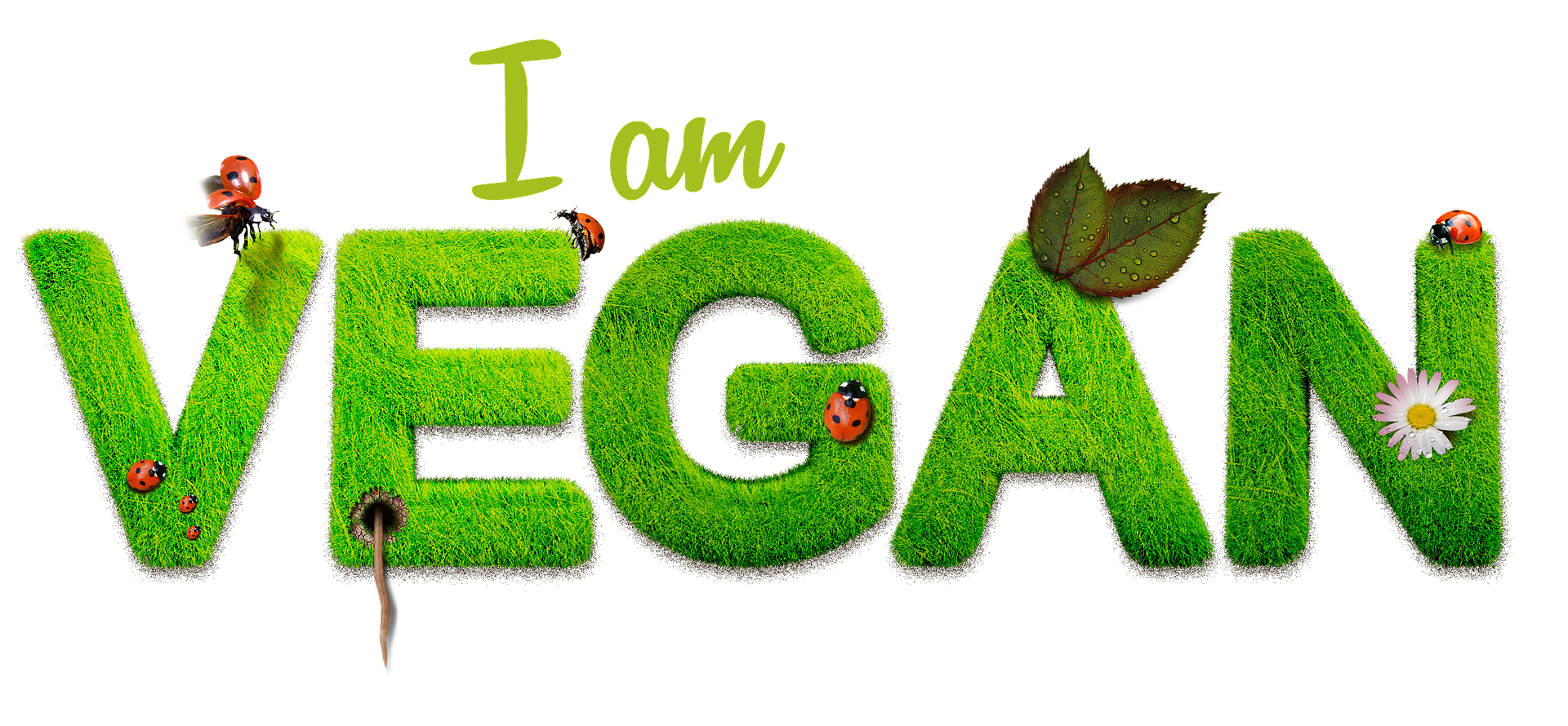 I Am Vegan